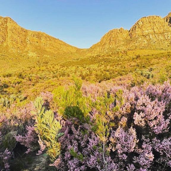 Oude Compagnies Post Villa Tulbagh Kültér fotó